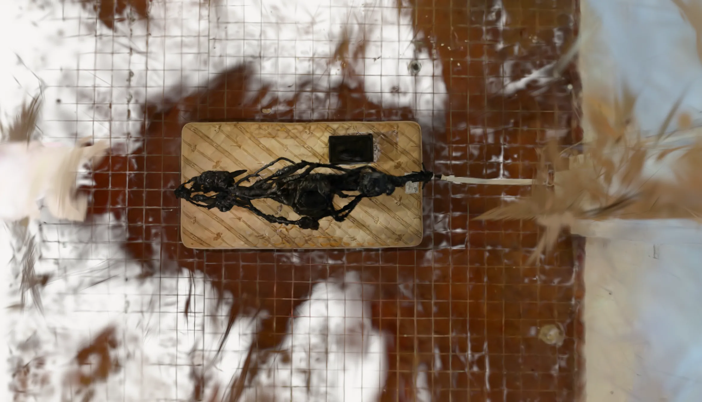 Cure by Jaxon Stickler — image 10