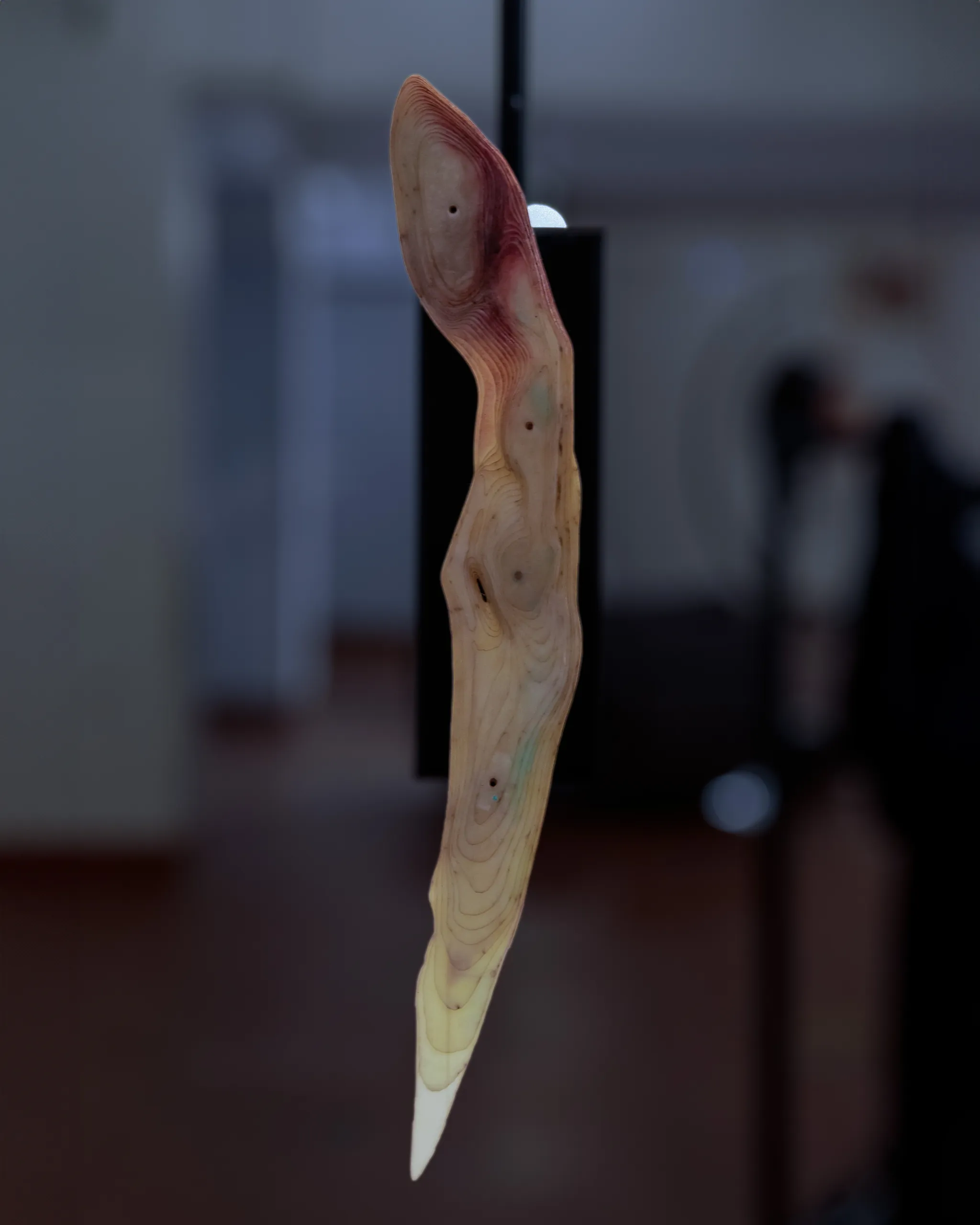 Paper Daggers by Jaxon Stickler — image 3