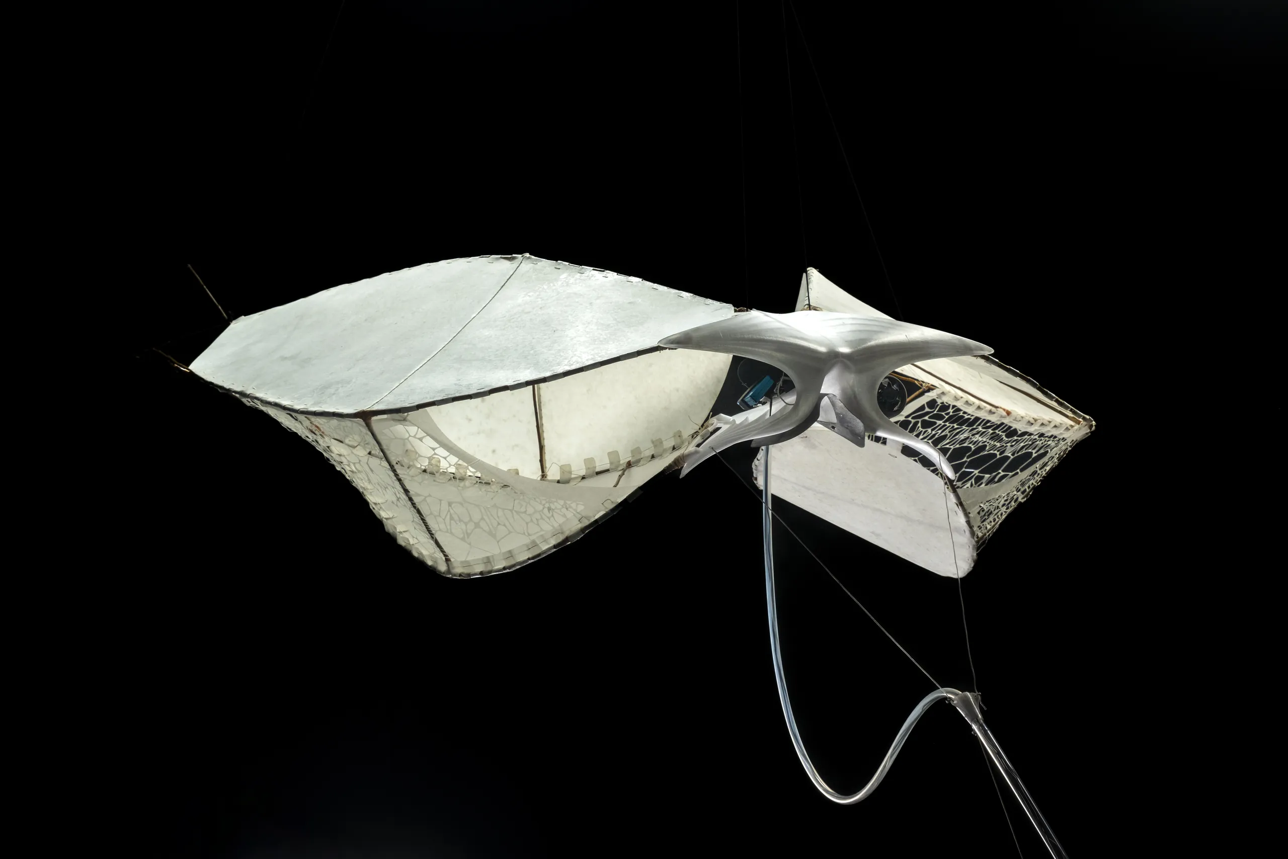 Wind Sensor by Jaxon Stickler — image 3