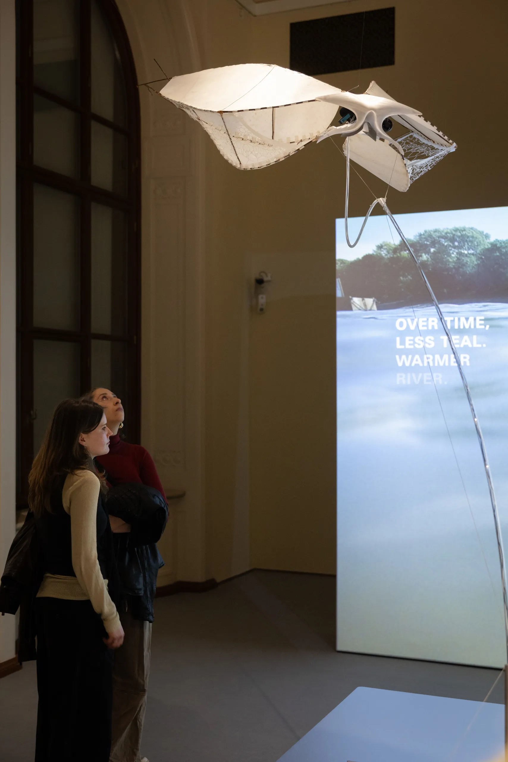 Wind Sensor by Jaxon Stickler — image 6