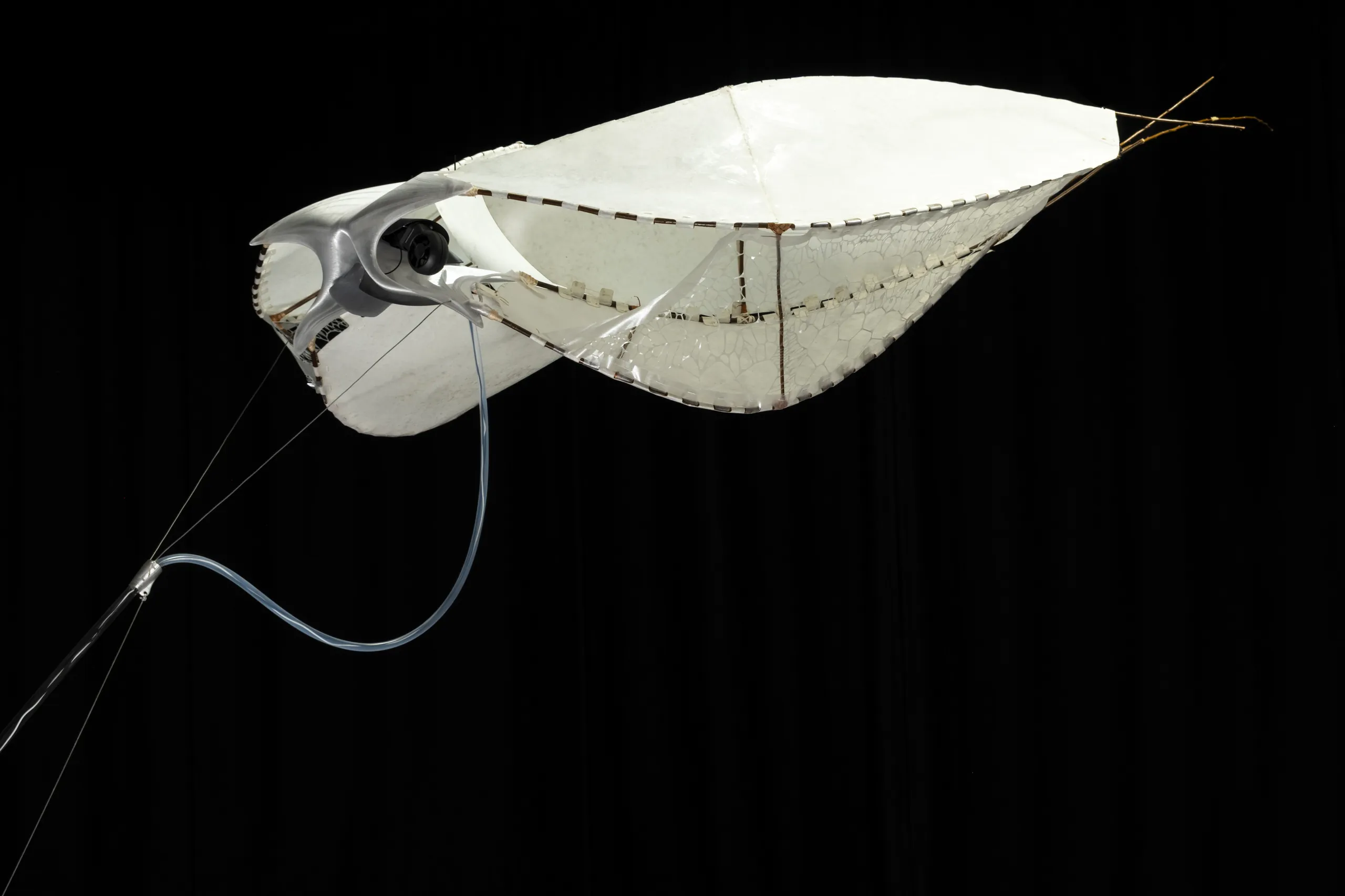 Wind Sensor by Jaxon Stickler — image 5